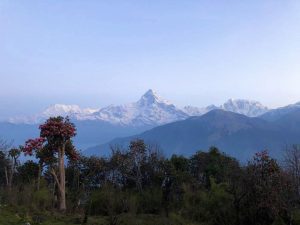 Tara Hill Top: Captivating Short Trek In Nepal (3,056m)