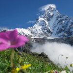 Pipar, a hidden paradise: Best Trek 2022