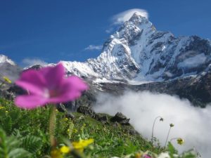Pipar, a hidden paradise: Best Trek 2022