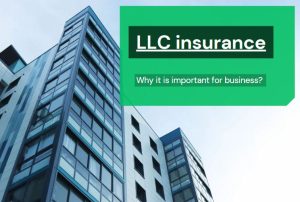 LLC insurance | Why it is important for business?